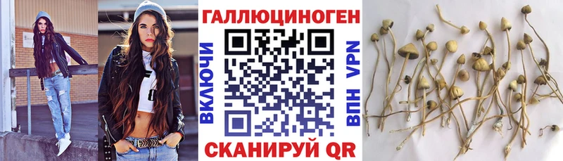 где купить наркоту  Таганрог  Псилоцибиновые грибы MAGIC MUSHROOMS 